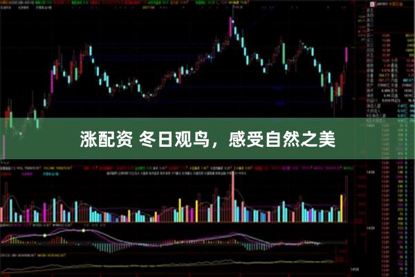 涨配资 冬日观鸟，感受自然之美