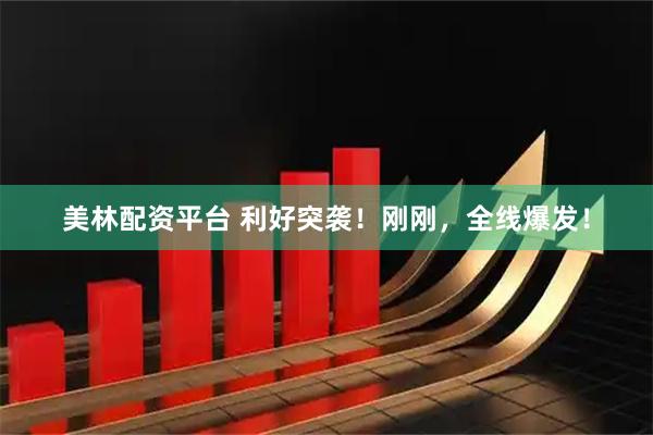 美林配资平台 利好突袭！刚刚，全线爆发！
