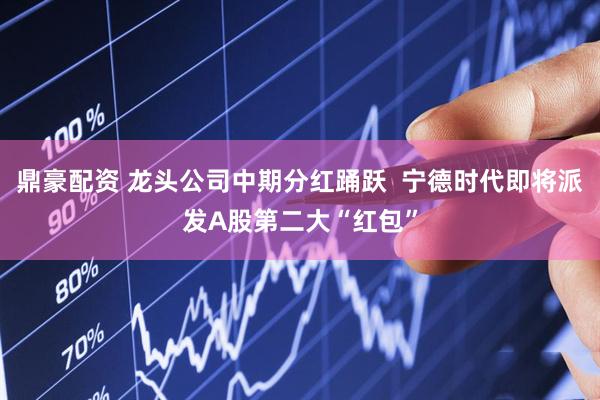 鼎豪配资 龙头公司中期分红踊跃  宁德时代即将派发A股第二大“红包”